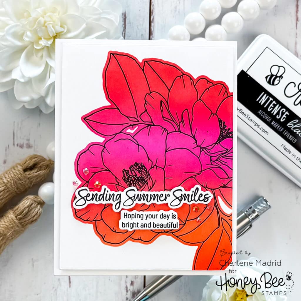Honey Bee Stamps Summer Smiles